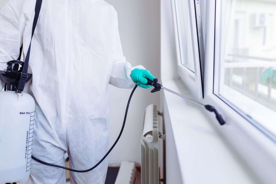 Guidelines to Follow When Getting Your Home Disinfected